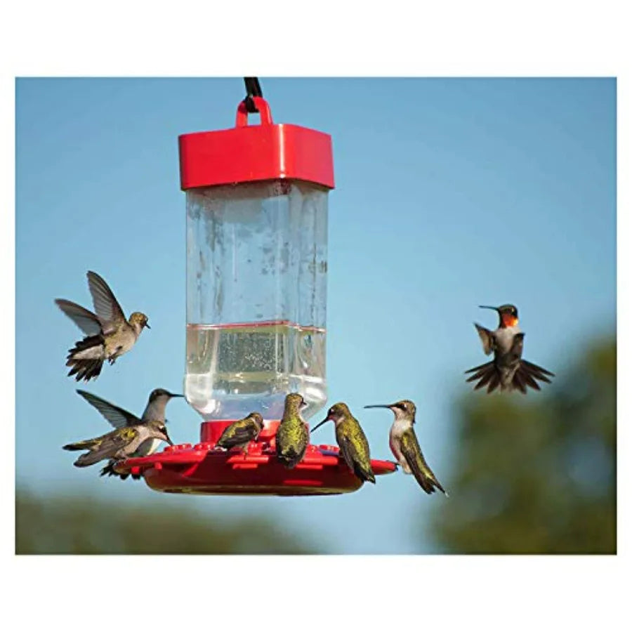 Hummingbird ElectroNectar Wild Bird Food, Ready to Use