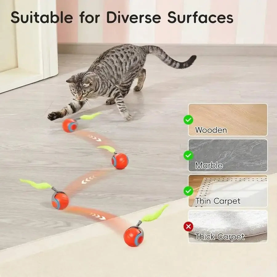 Interactive Rolling Ball Cat Toy With Feather Tail Rechargeable Smart Auto Motion For Indoor Cats