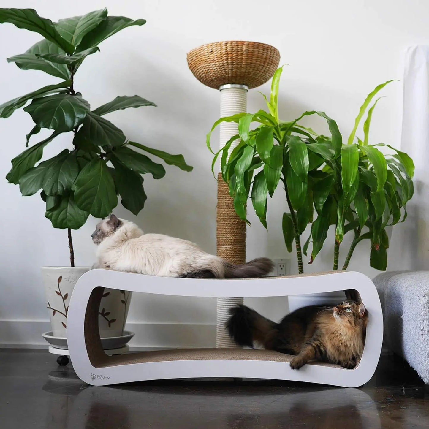 Jumbo Cat Scratcher Lounge, White. 39 x 11 x 14 inch 4 Cardboard Scratching Surfaces and 2 Levels, Scratch, Play, Perch