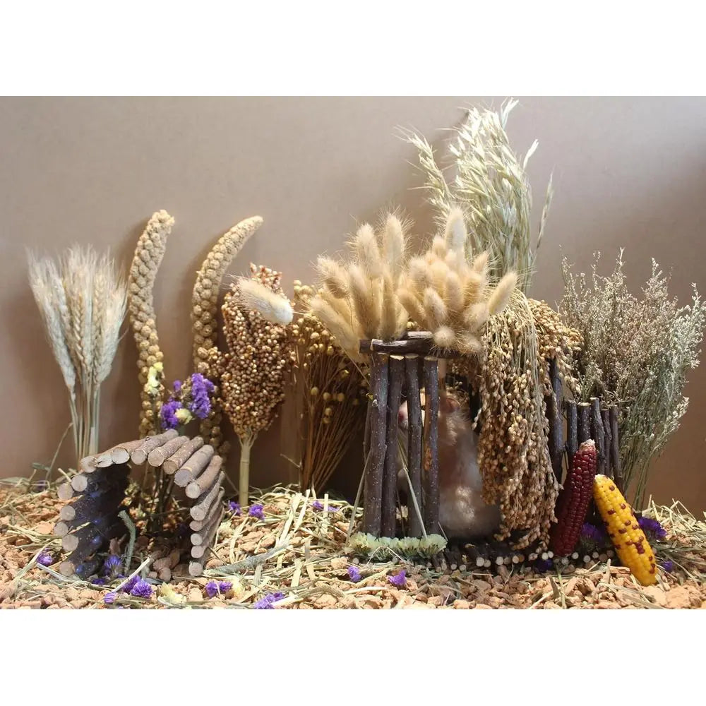 Hamster Bedding lowers Herbs Sprays Treat Cage Habitat Enclosure Decor Dwar Syrian Gerbils Mice Mouse Rat Pet Accessories Suppli