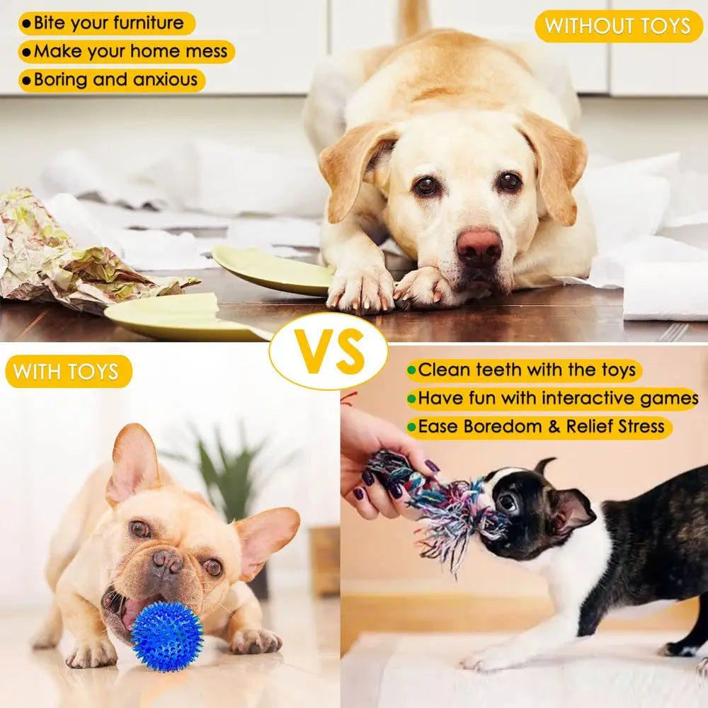 Dog Toys 25 Pack for Puppy Chewing and Teeth Cleaning, Plush Toys, Squeaky Balls, Tug o War, Rope Toys for Small Dogs