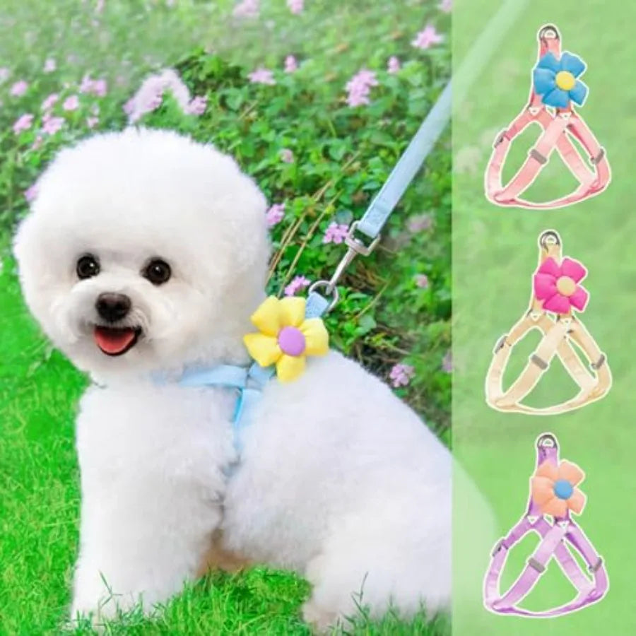 Dog Harness Collar and Leash Set, Sweet Floral Puppy Collar, Escape Proof Puppy Chest Harness, Adjustable Cute Harness Leash Se