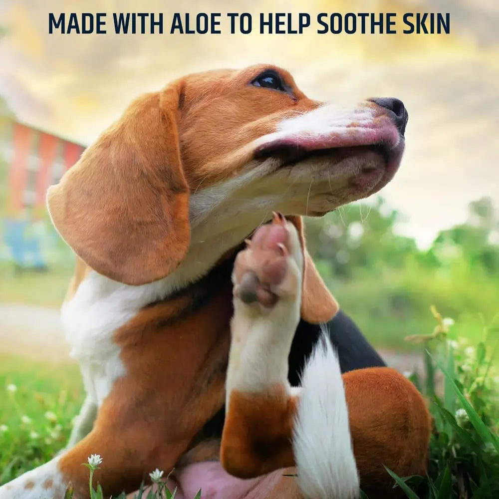 Topical Wipes or Cleansing - 50 Count for Cats and Dogs