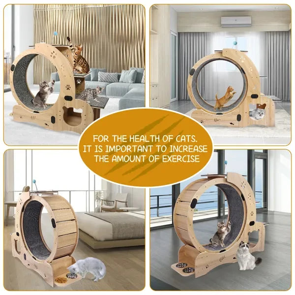 6-in-1 Upgraded Cat Exercise Wheel, Silent Large Treadmill for Indoor Cats