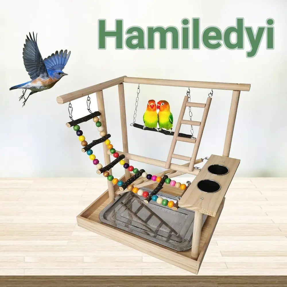 Bird Play Gym with Climbing Ladders, Swings, Chew Toys, and Parakeet Cups for Parrots, Conures, and Lovebirds (Includes Tray)
