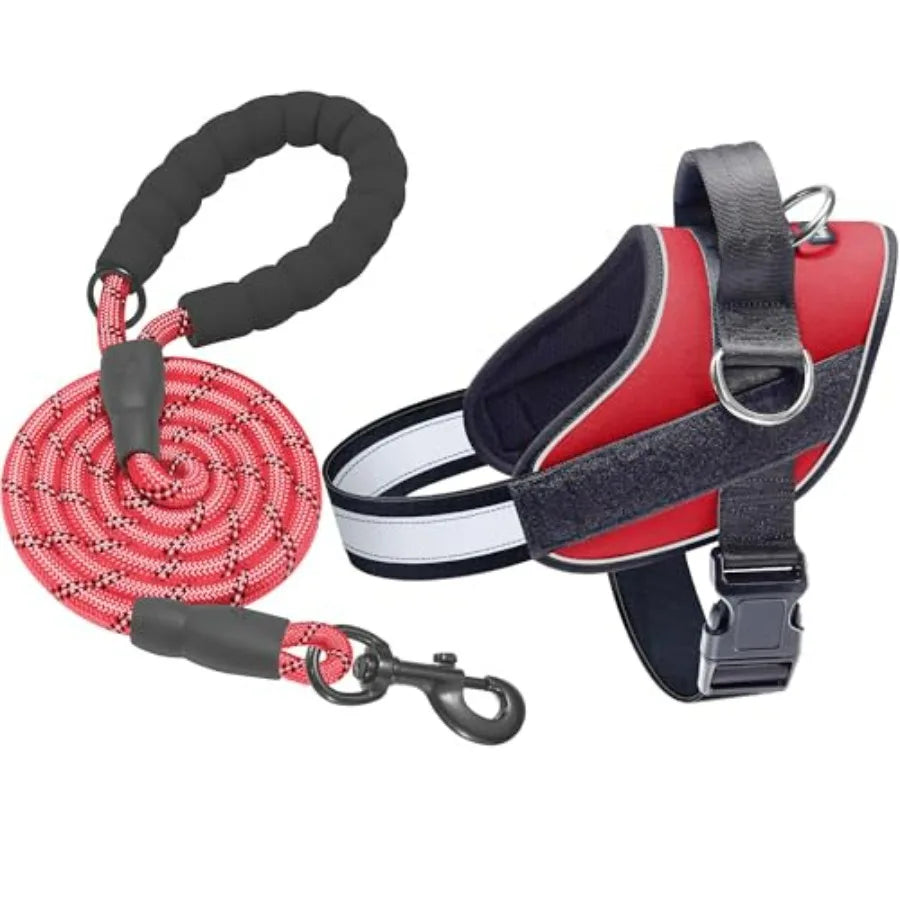 Essential Dog Harness, No Pull Pet Vest with 3 Leash Clips, No Choke, Reflective, Adjustable and Padded, for Easy Walking and T