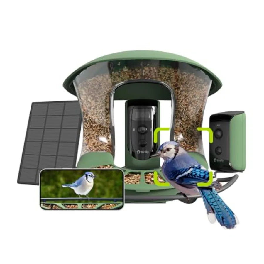 Smart Bird Feeder With Dual Cameras And Solar Power