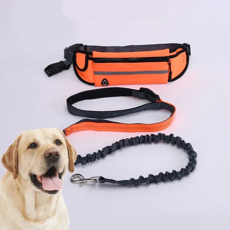 Hands Free Dog Leash With Reflective Retractable Belt Waist Bag