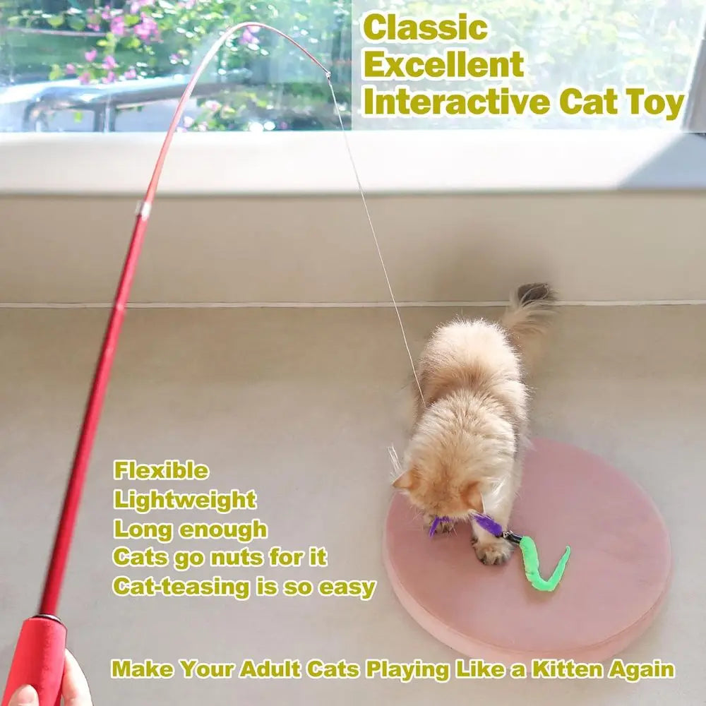 Cat Toys Indoor Cats, Interactive Retractable Wand Toy and 9PCS Cat Feather Toys, Kitten Toys Cat Fishing Pole Toy or Bored Indo