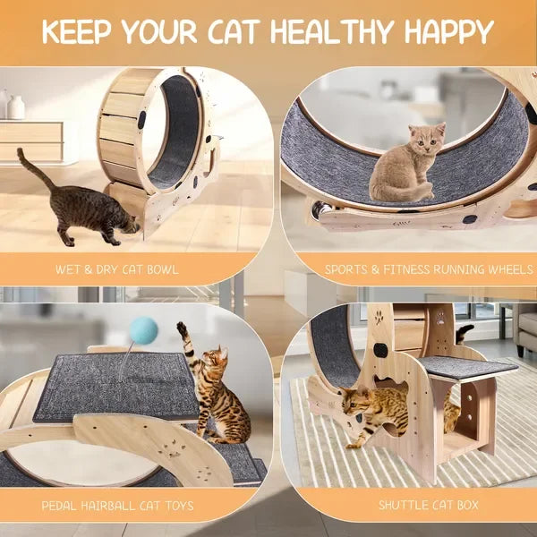 6-in-1 Upgraded Cat Exercise Wheel, Silent Large Treadmill for Indoor Cats