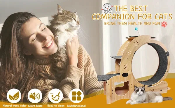 6-in-1 Upgraded Cat Exercise Wheel, Silent Large Treadmill for Indoor Cats
