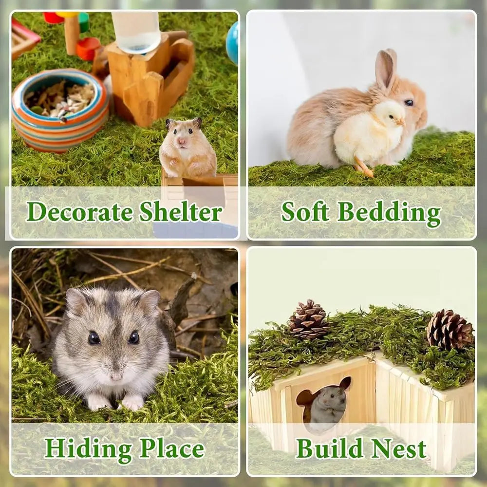 25QT Hamster Moss or Bedding Nesting Hideout, 100% Natural Moss for Rabbits, Squirrels, Hamsters, Guinea Pigs, Small Animals Cag