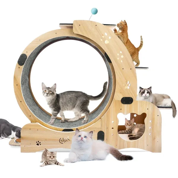 6-in-1 Upgraded Cat Exercise Wheel, Silent Large Treadmill for Indoor Cats