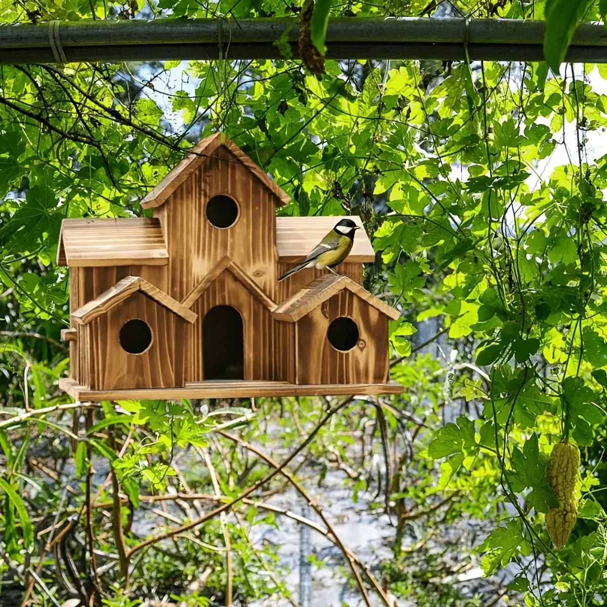 Single Outdoor Birdhouse Designed for Feeding Birds in Countryside Settings, Featuring a Compact House Style Suitable for Bluebirds And Sparrows. Made from Natural Wood, This Hanging Nest Box Is Perfect for Hummingbirds And R
