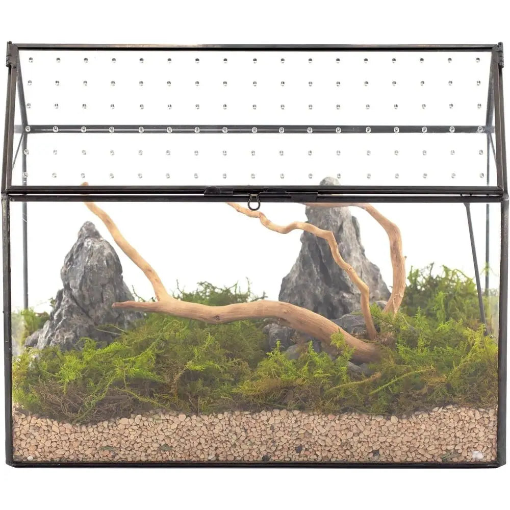 Handcrafted House-Shaped Glass Terrarium with Acrylic Lid, 10.2x5.9x8.2 Inches, Ideal for Snails and Indoor Decor (Plants Not In