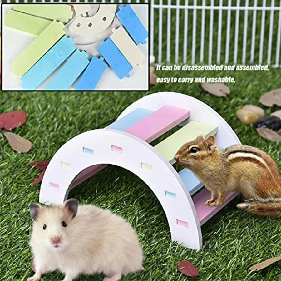 Dwarf Hamster Flying Saucer Wheel and Rainbow Bridge Set