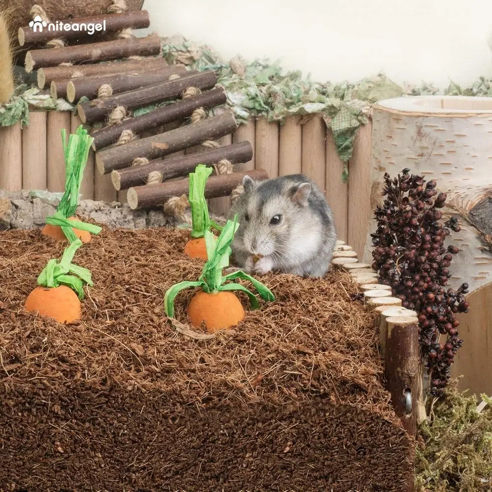 Hamster Bedding Pet Litter for Dwar Syrian Hamsters, Gerbils, Mice, Degus, Other Small Animals