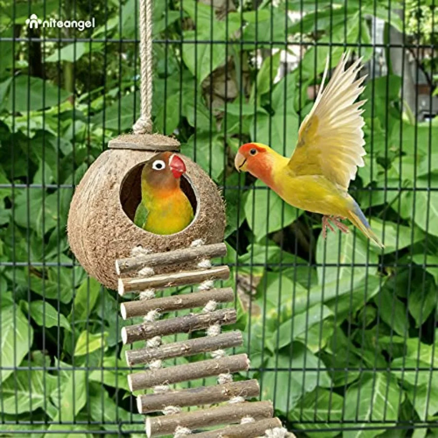 Natural Coconut Hideaway with Ladder, Bird and Small Animal Toy House with Ladder