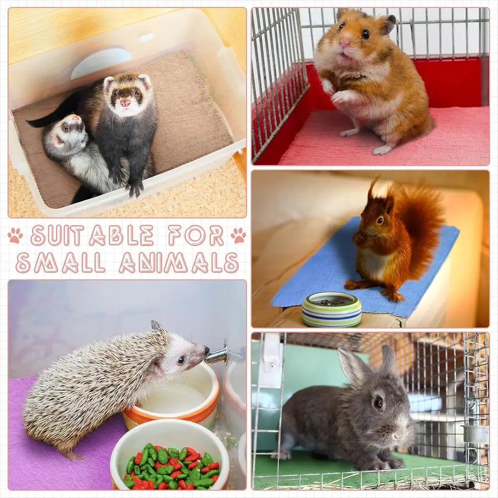 5 Pcs Waterproof Guinea Pig Blankets Washable Small Animal Pee Pad Pet Blanket Sleep Bedding Mats Absorbent Guinea Pig Cage Line