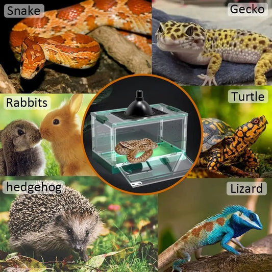 Large Reptile Tank Habitat Cage for Snakes, Lizards, Geckos, Frogs, and Hamsters (21.65x12.6x12.2) Grey Blue