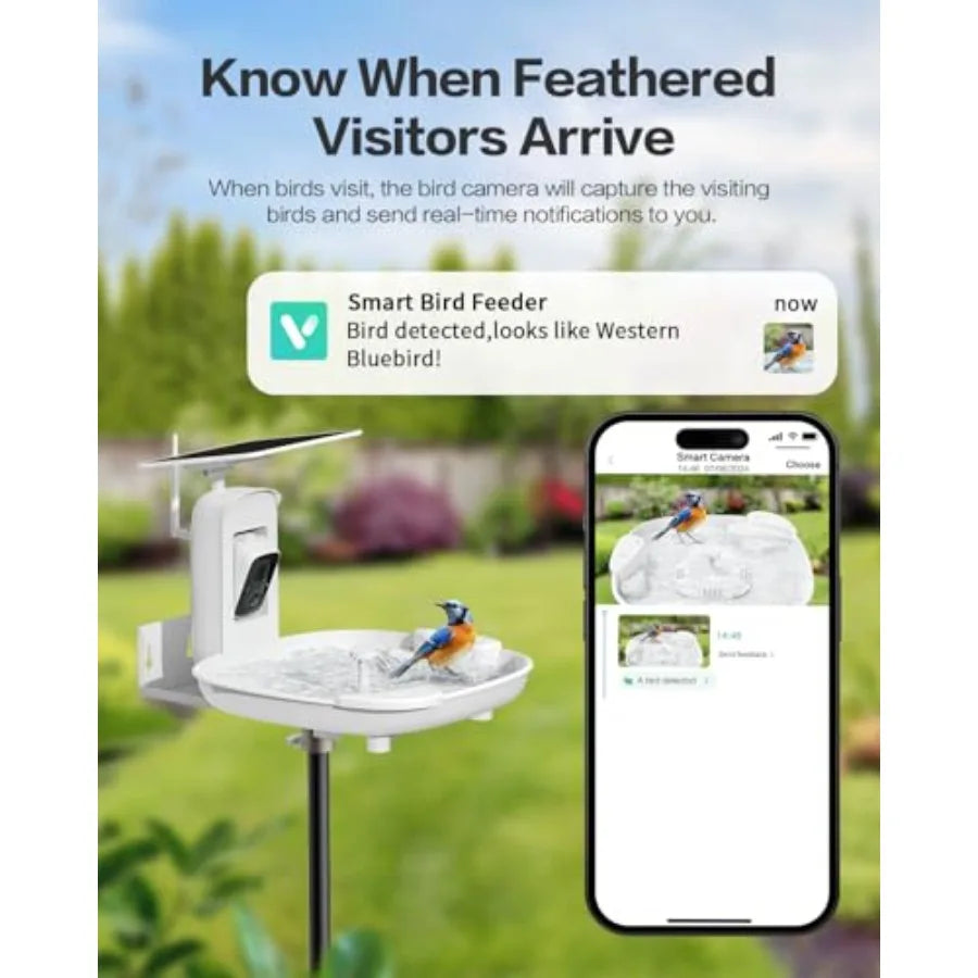 Harymor Bird Bath With Camera And Smart AI Bird Activity Alerts