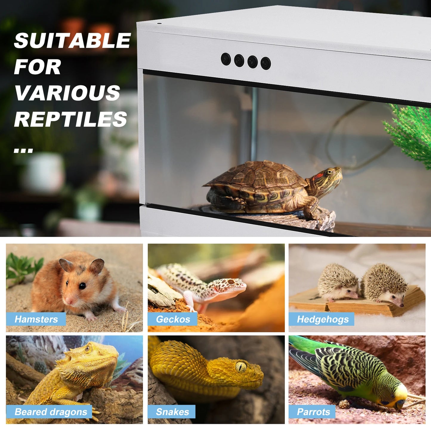 Reptile Terrarium, PVC Enclosure, Stackable Reptile Enclosure Tempered Glass Bearded Dragon Tank, for Amphibians Reptilians Arachnids Pets Habitat