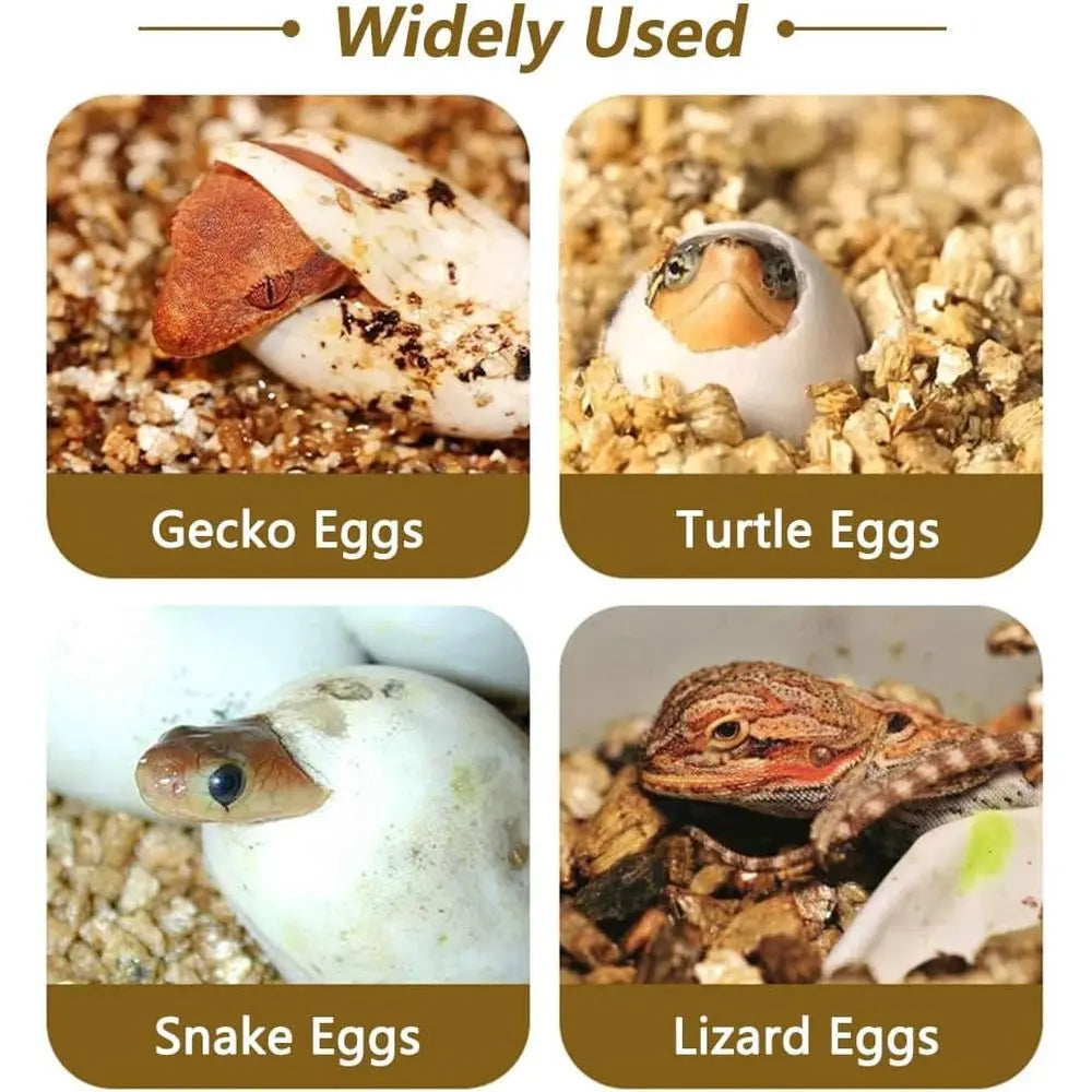16-Grid Plastic Breeding Enclosure for Geckos, Lizards & Chameleons