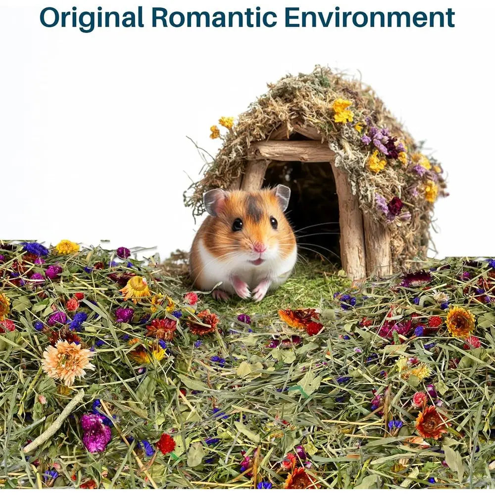 200G Hamster Bedding - Lowers & Herbs Odor Control for Dwarf Gerbil, Robo Habitat Decor, Suitable for Hamsters, Gerbils, Mice, L