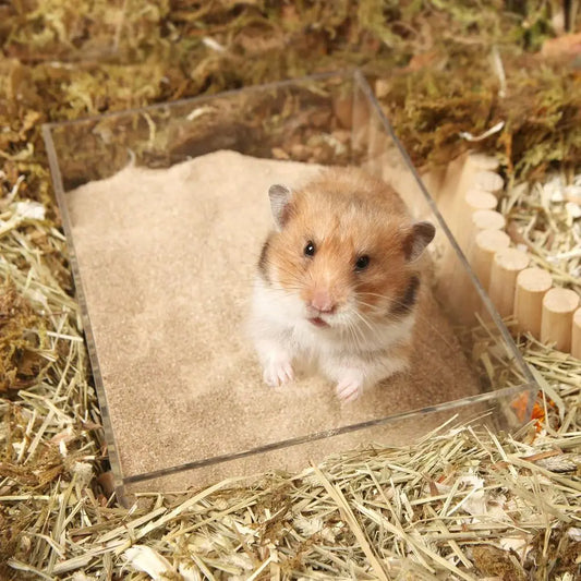 Hamster Bath Sand, 6.6LB Desert Bath Sand | No-Dust Potty Litter Calcium-ree Sand for Small Pets
