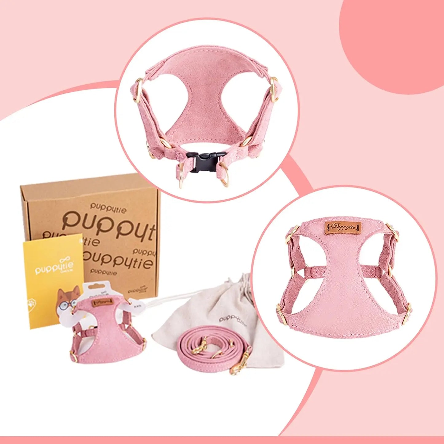 Adjustable No-Pull Dog Harness With Leash For Small Dogs