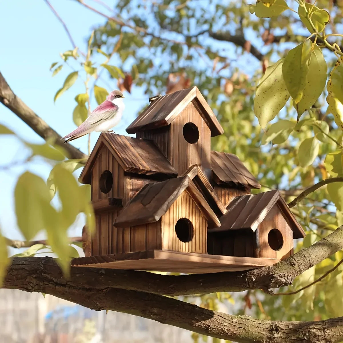 Single Outdoor Birdhouse Designed for Feeding Birds in Countryside Settings, Featuring a Compact House Style Suitable for Bluebirds And Sparrows. Made from Natural Wood, This Hanging Nest Box Is Perfect for Hummingbirds And R