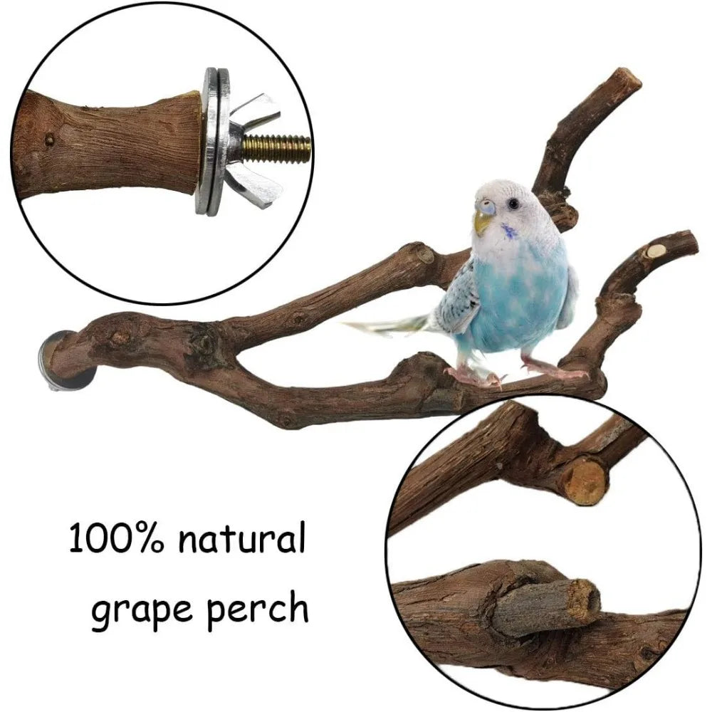 Natural Parrot Perch Grape Stick Grinding Fork Climbing Branches Chewable Cage Accessories for Small Birds 3PCS