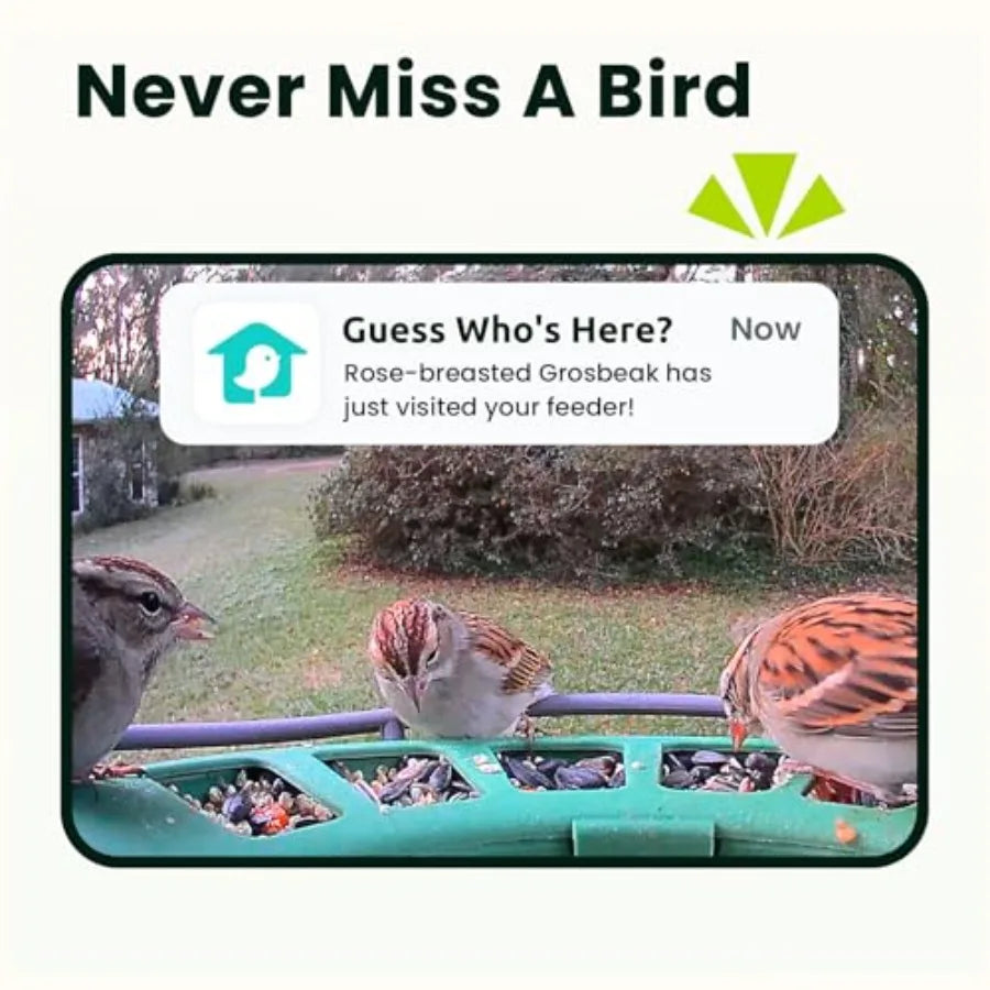 Smart Bird Feeder With Dual Cameras And Solar Power