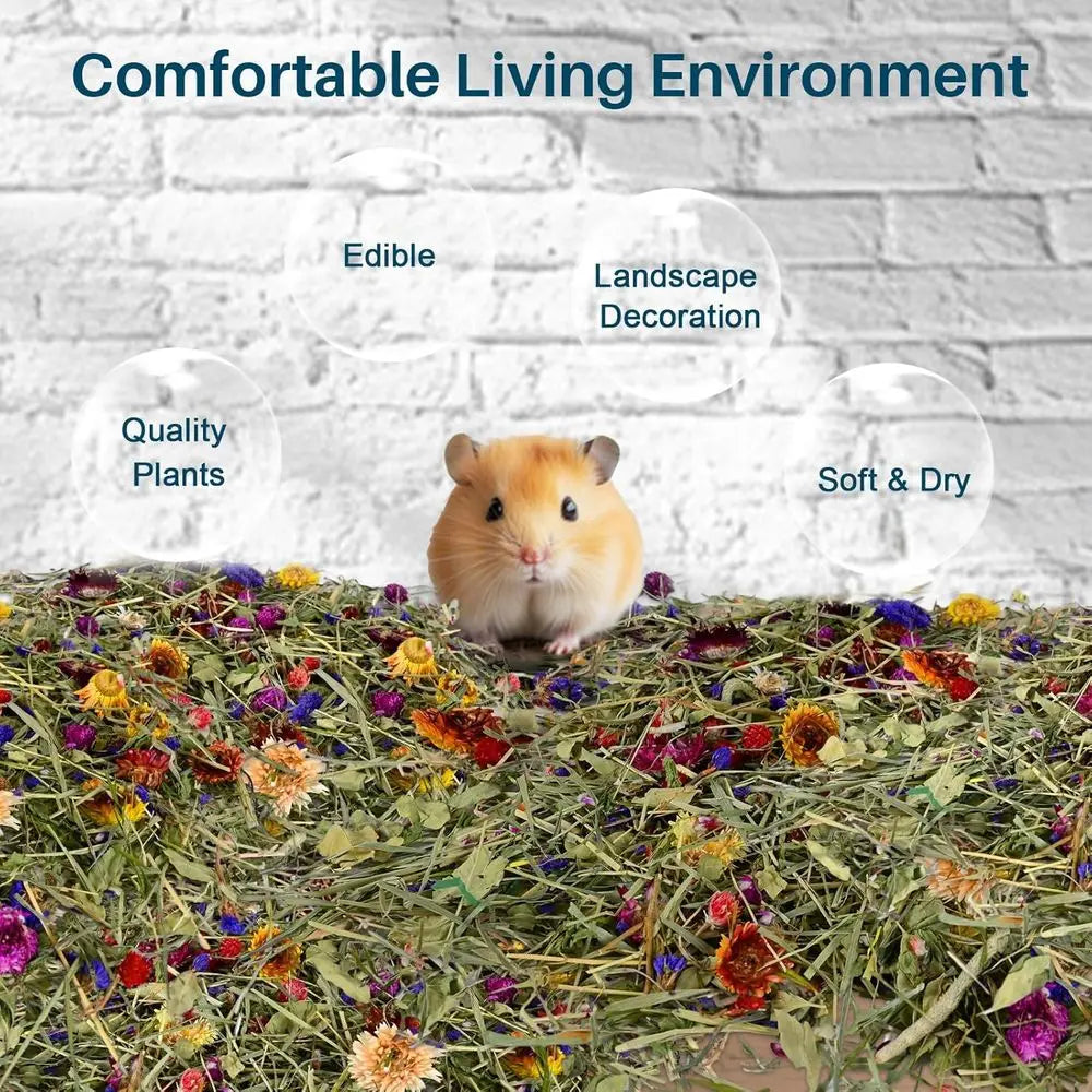 200G Hamster Bedding - Lowers & Herbs Odor Control for Dwarf Gerbil, Robo Habitat Decor, Suitable for Hamsters, Gerbils, Mice, L