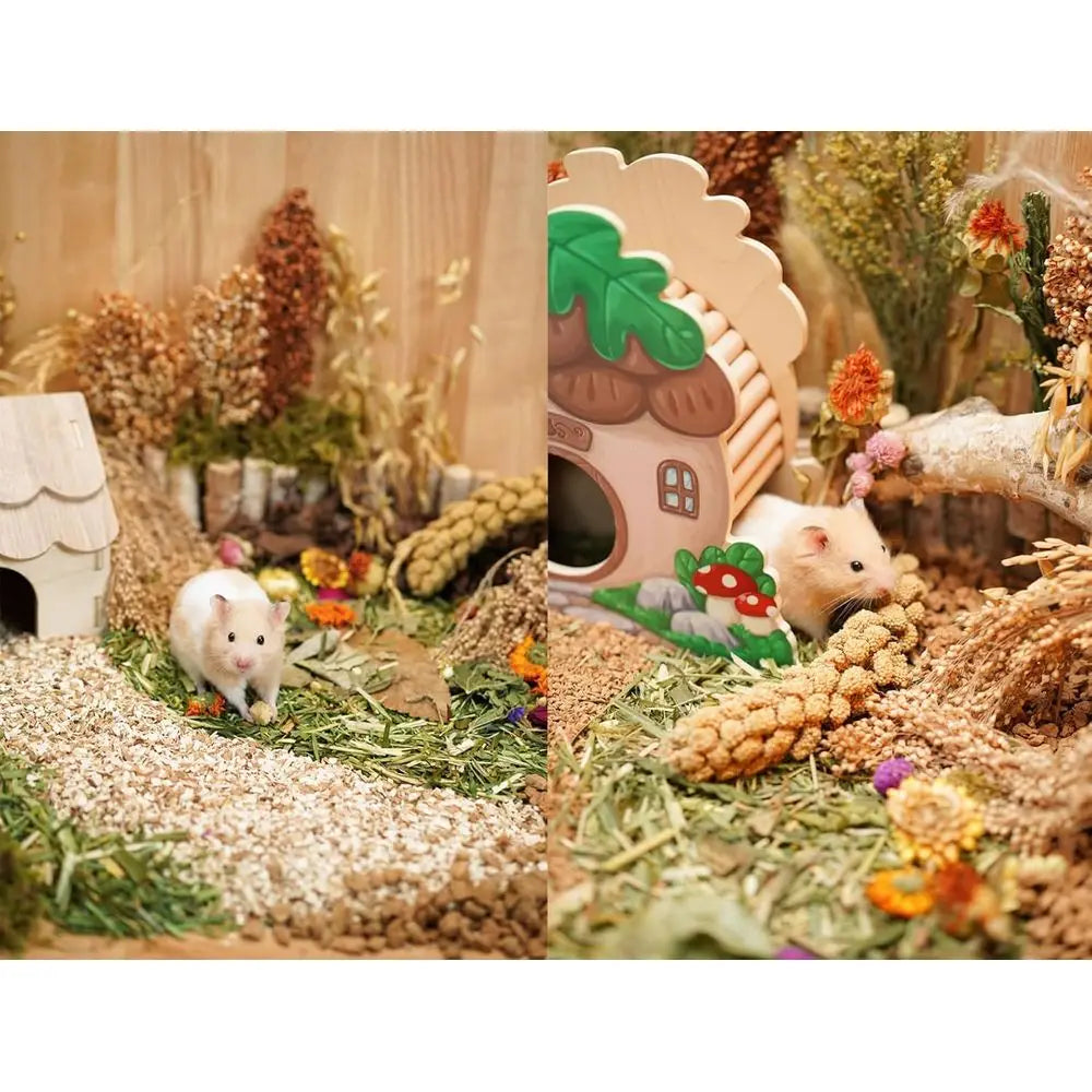 Hamster Bedding lowers Herbs Sprays Treat Cage Habitat Enclosure Decor Dwar Syrian Gerbils Mice Mouse Rat Pet Accessories Suppli