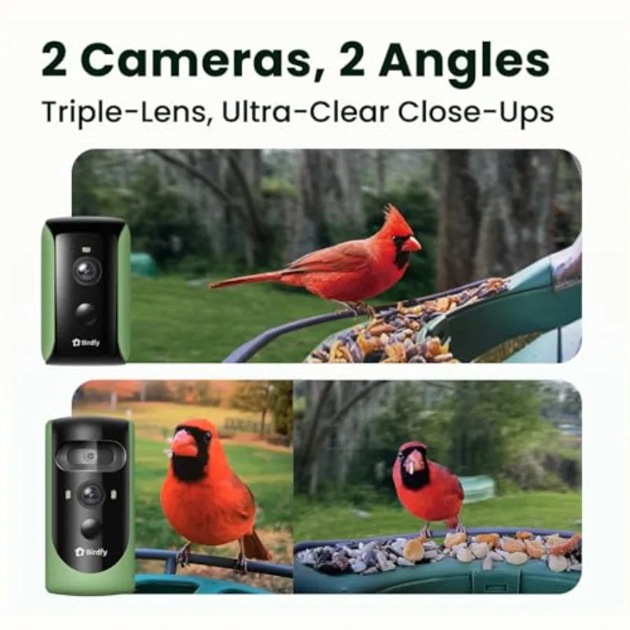 Smart Bird Feeder With Dual Cameras And Solar Power