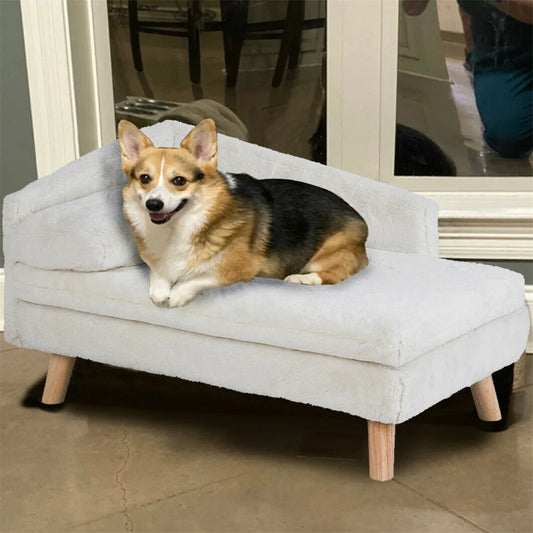 BORWART Luxury Elevated Dog Sofa Bed With Backrest Cushion