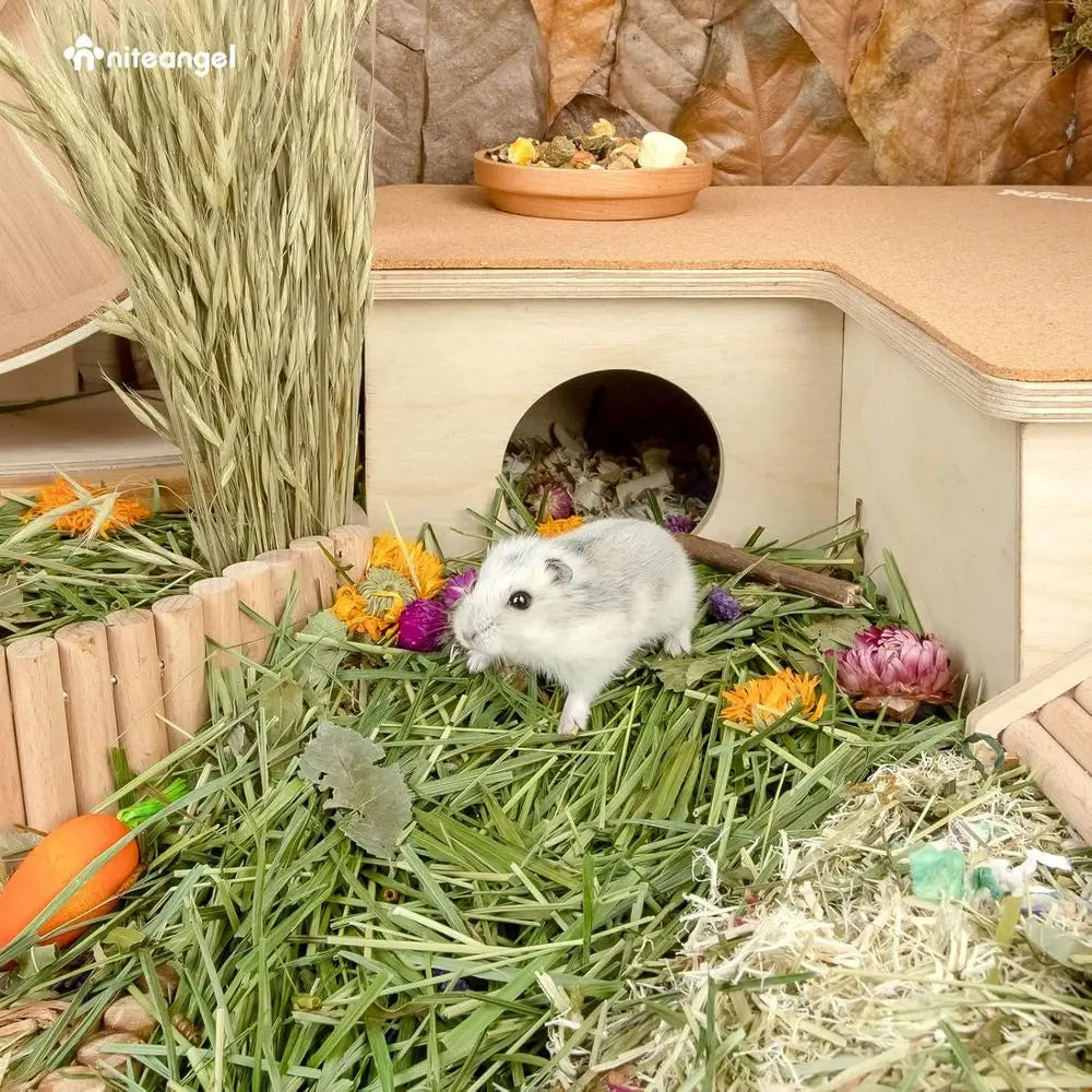 Natural Sot Hamster Bedding Mate Small Animal Habitat Decor Syrian Dwar Hamsters Gerbils Mice Degus Bunny Other Small-Sized Pet