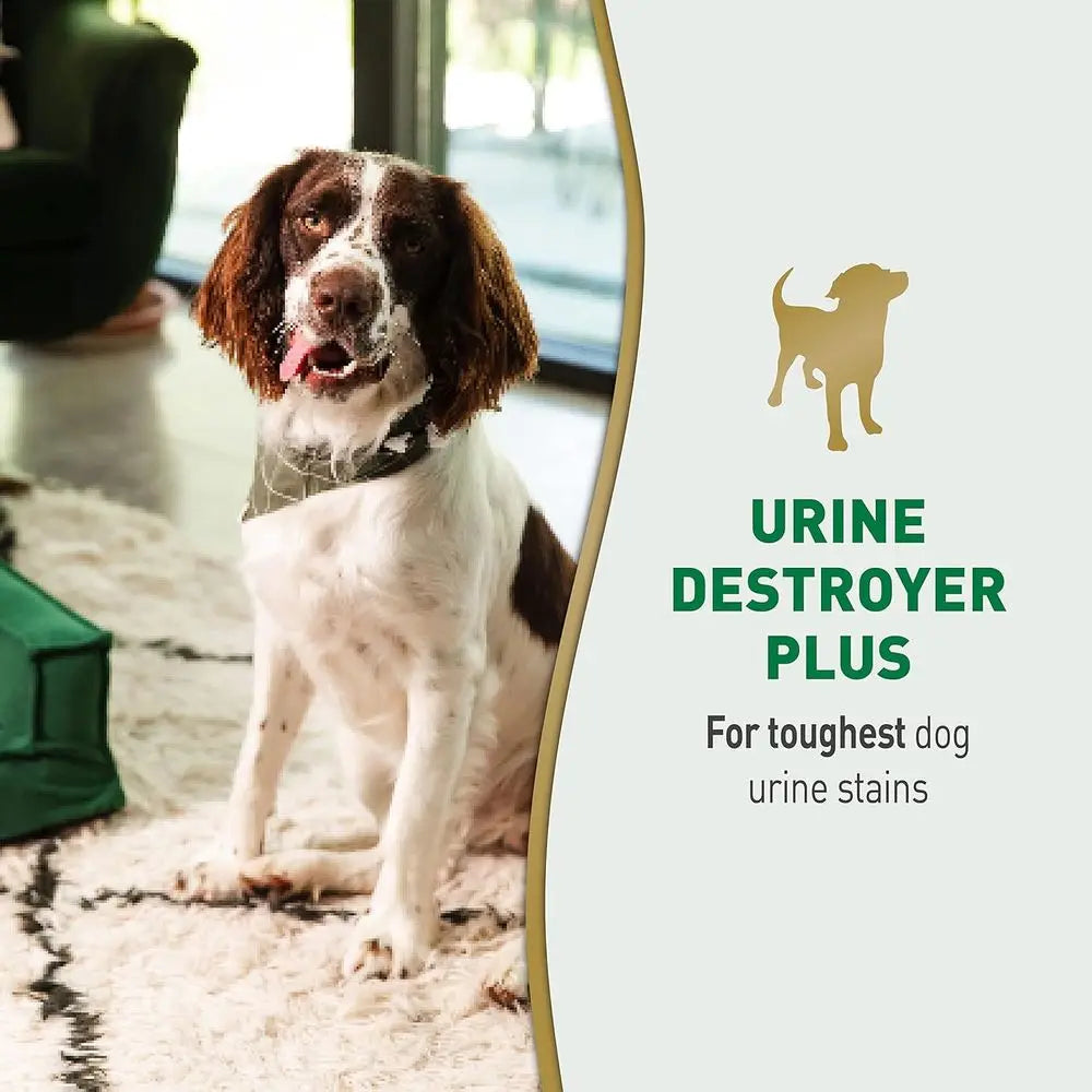 Powerful Enzymatic Dog Urine Stain Remover, 32 oz