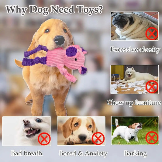 5 Pack Tough Squeaky Dog Toys Assorent Plush Animal Dog Toy Value Bundle Puppy Pet Dog Toys or Small Medium Large Dogs