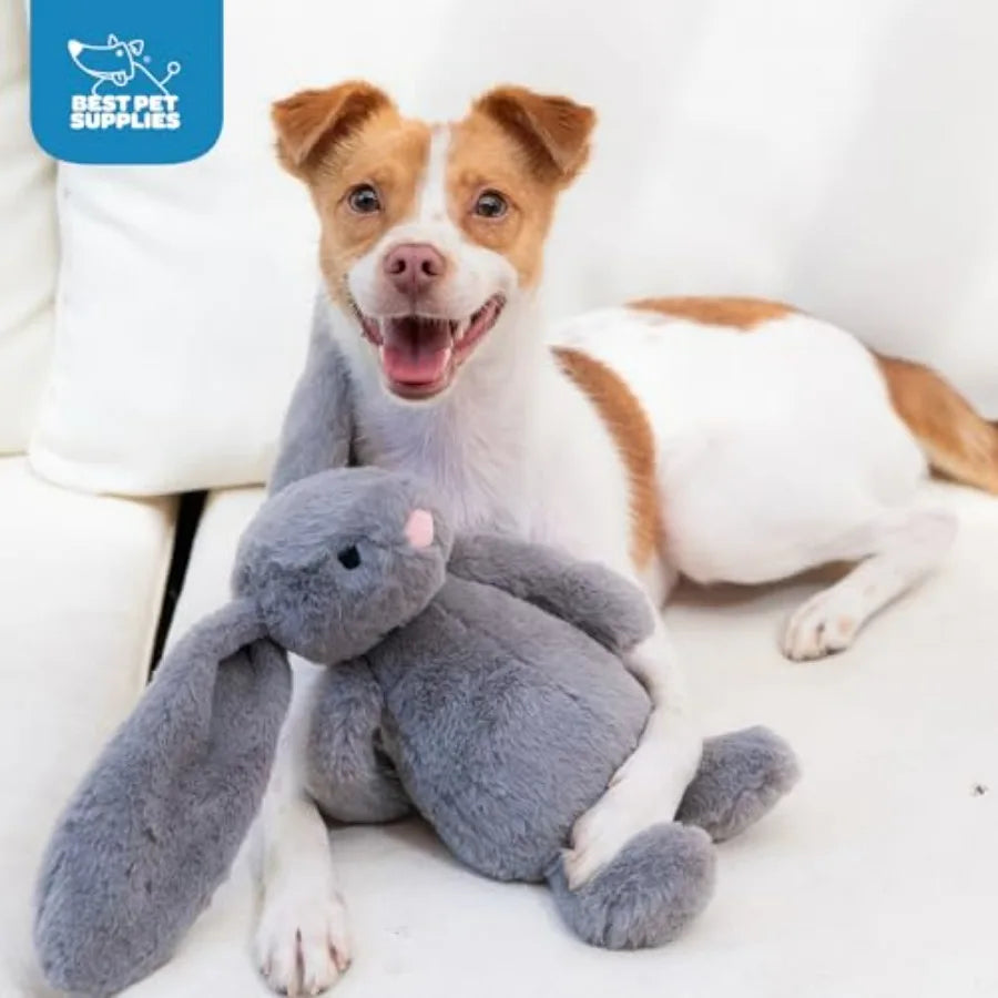 Interactive Squeaky Dog Chew Toy, Ideal Dog Toys for Chewers,,and Dogs, and Fetch Lovers - Bunny Beige, Gray