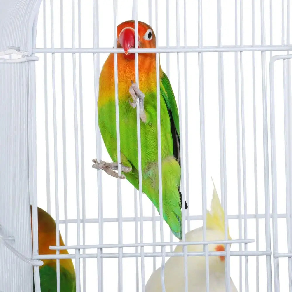 41-Inch Portable Hanging Light Bird Cage for Small Parrots, Cockatiels, Sun Conures, Green Cheek Conures, Canaries, Budgies, Lov