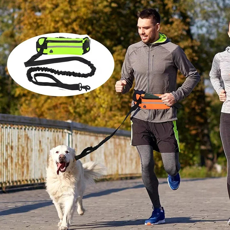 Hands Free Dog Leash With Reflective Retractable Belt Waist Bag