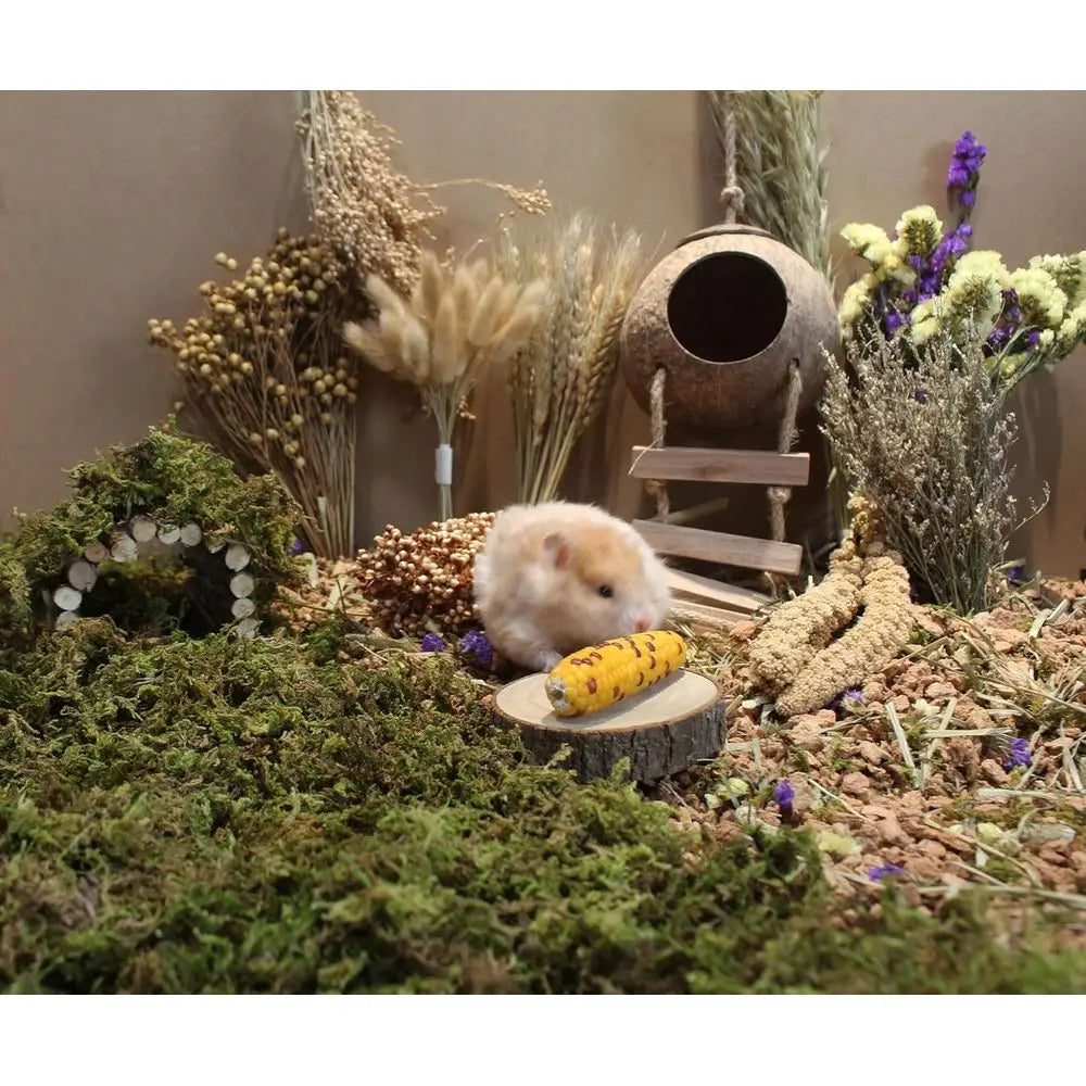 Hamster Bedding lowers Herbs Sprays Treat Cage Habitat Enclosure Decor Dwar Syrian Gerbils Mice Mouse Rat Pet Accessories Suppli