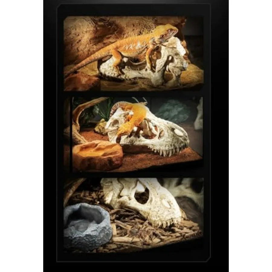 CLEEN T-Rex Skull Reptile Hide - Dinosaur Bone Terrarium Decor for Lizards Snakes Bearded Dragon, Realistic Fossil Cave Aquariu