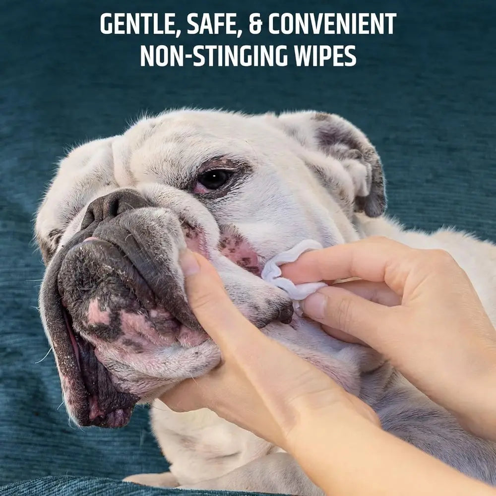 Topical Wipes or Cleansing - 50 Count for Cats and Dogs