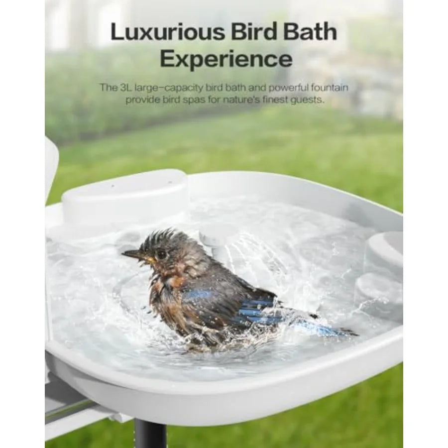 Harymor Bird Bath With Camera And Smart AI Bird Activity Alerts