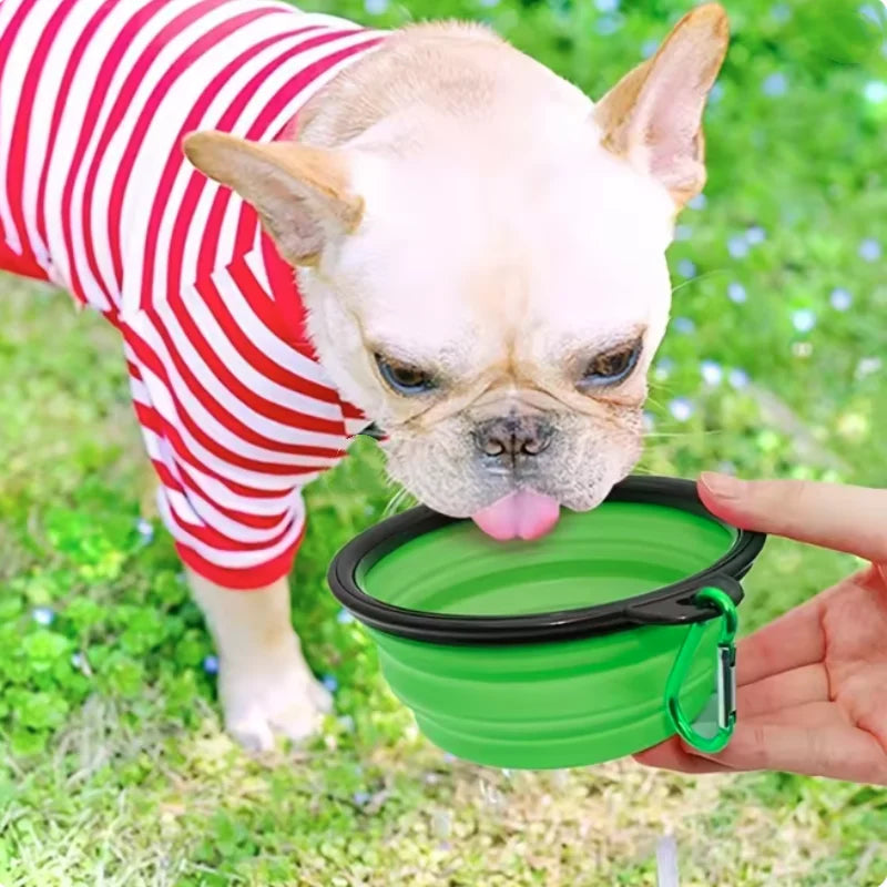 Durable TPR Portable Pet Food Bowl Collapsible Travel for Pets