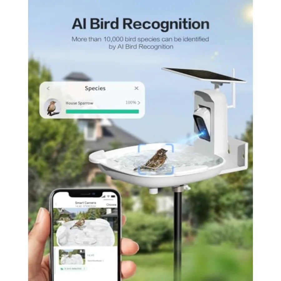 Harymor Bird Bath With Camera And Smart AI Bird Activity Alerts