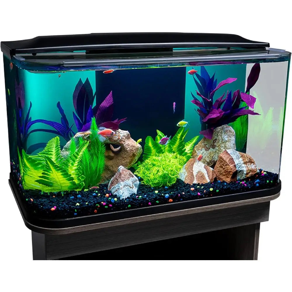 Glass Aquarium Kit, 20 Gallons, Includes Premium Blue, LED Light Stick & Integrated iltration, Perect or Beginners or Seasoned H